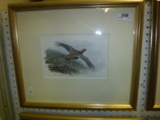 RODGER McPHAIL “English Grey-Leg Partridge alighting”, watercolour heightened with white, signed