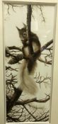 TERENCE LAMBERT "Study of Squirrel in pine tree", monochrome watercolour, signed lower left, image