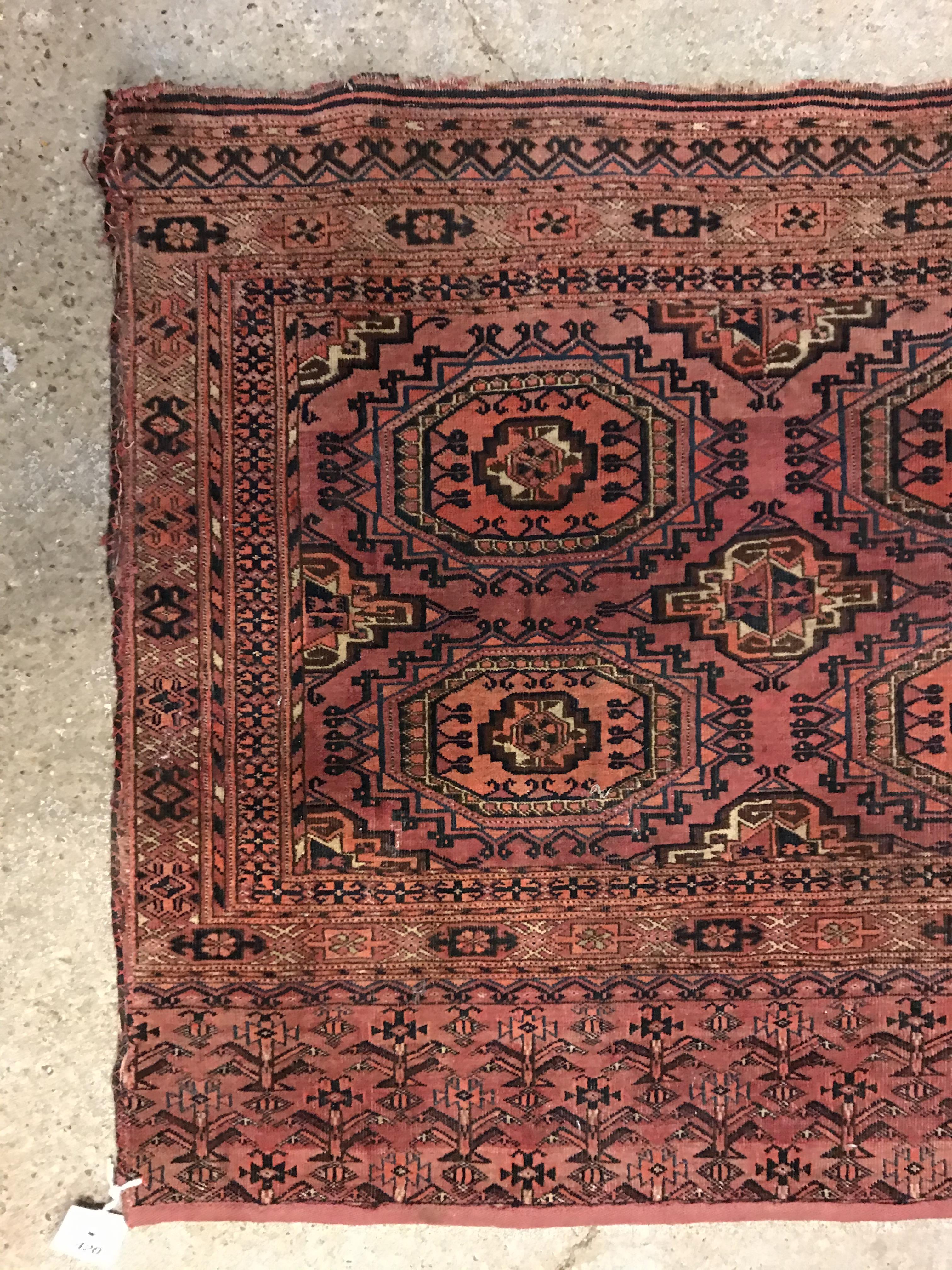 A fine Salour Bok rug, the central panel set with repeating elephant foot style medallions on a - Image 2 of 5