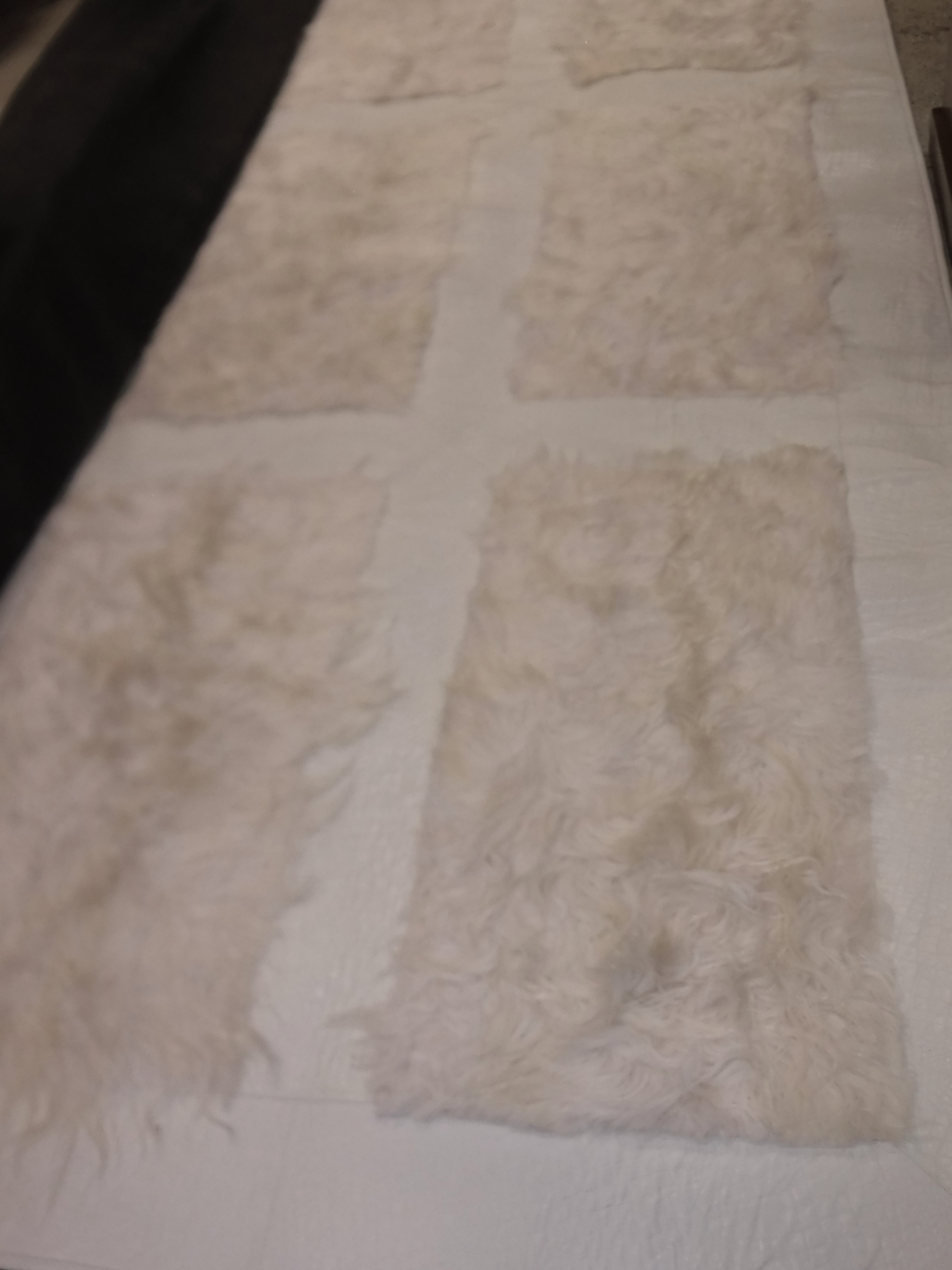 A Fendi white "Alligator and Fur" rug, decorated with fifteen rectangles of fur on a faux - Image 4 of 4
