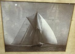 A framed and glazed photographic study of “Shamrock 16th Dec 1899”, in full sail (a gaff cutter