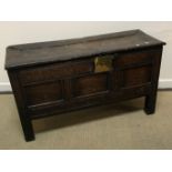 An 18th Century oak coffer, the single piece carved plank top over a three panel front with