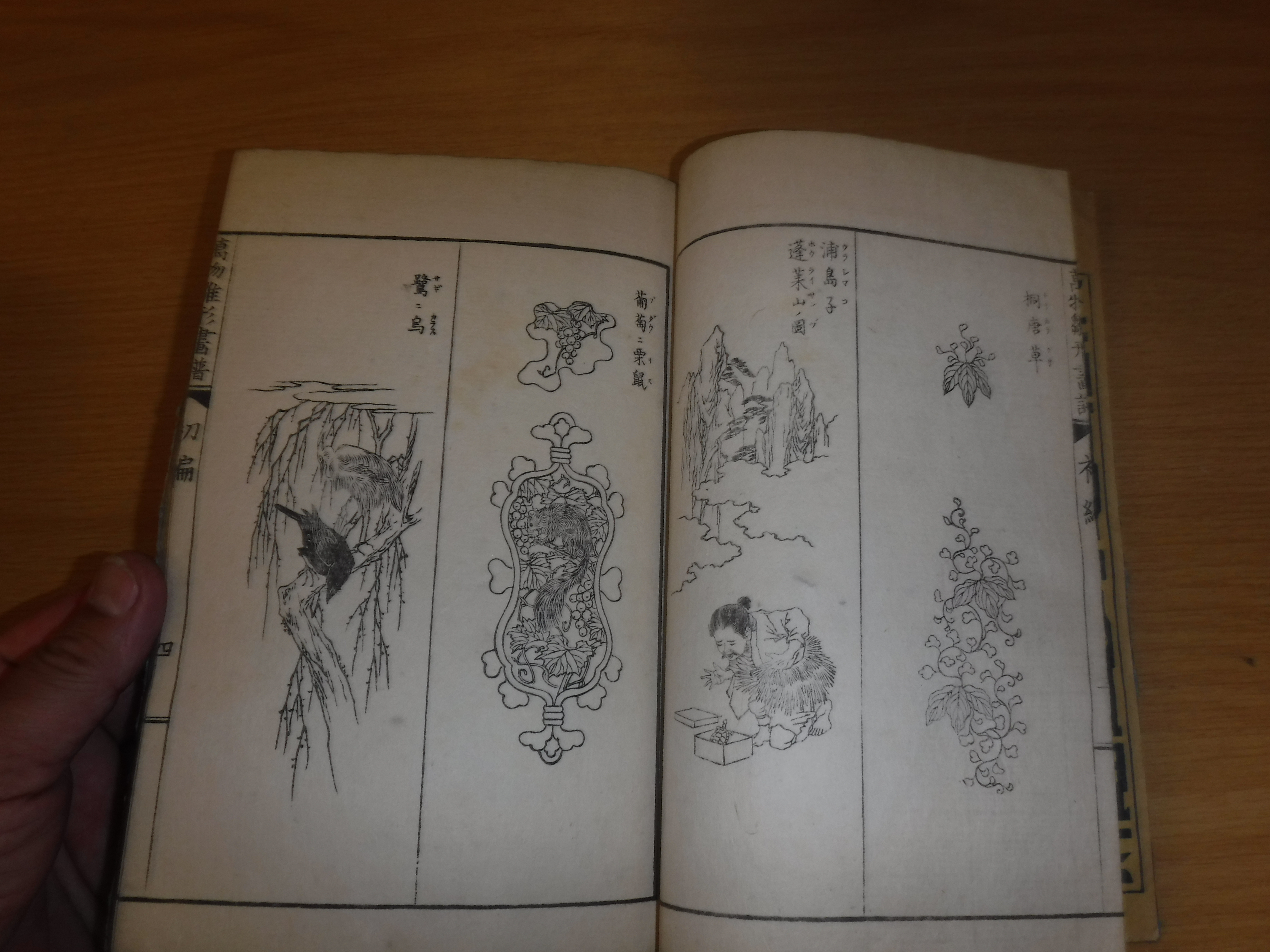 Twelve various mainly 19th Century Japanese volumes including medical encyclopedia, another, a - Image 41 of 56