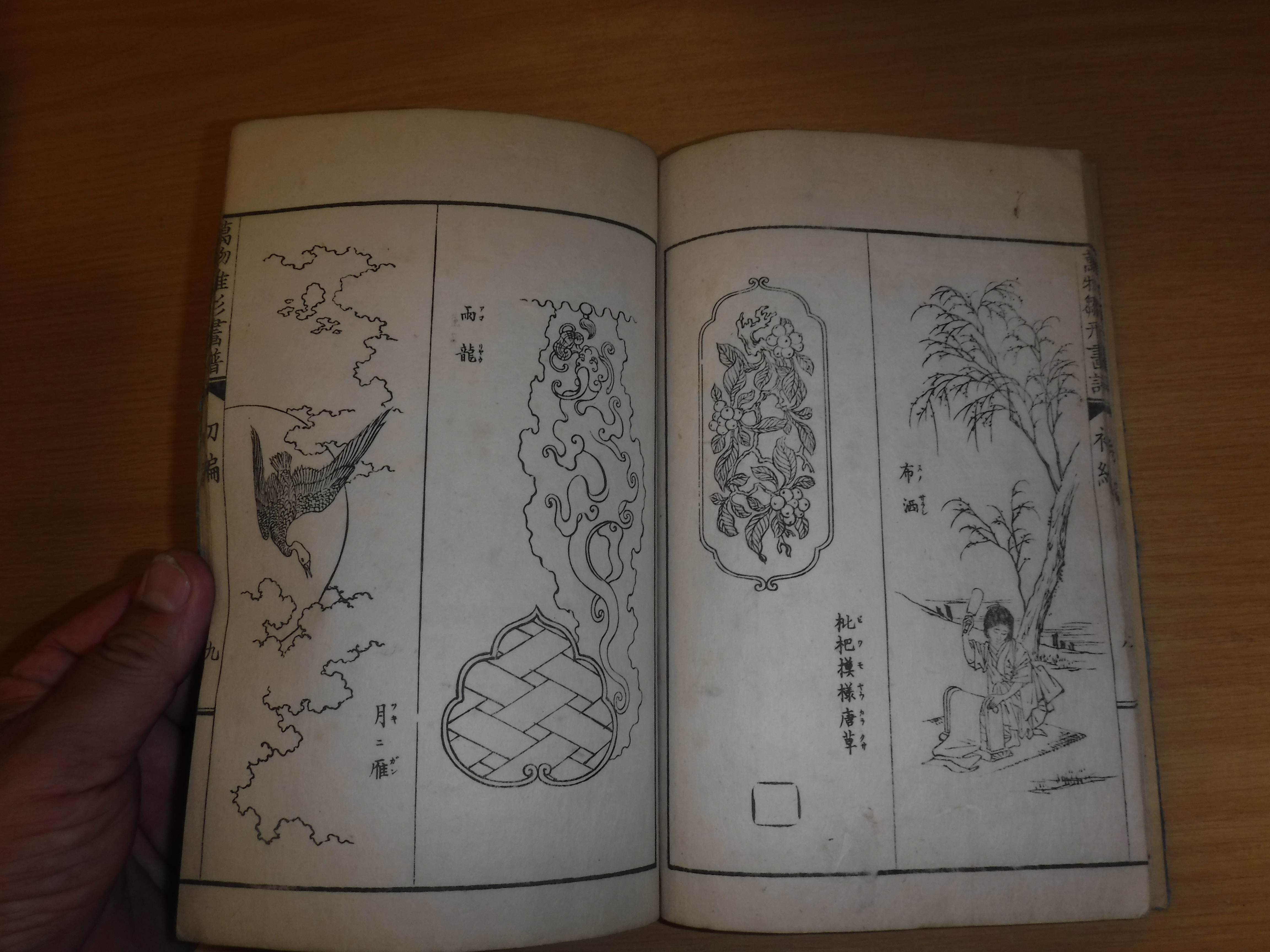 Twelve various mainly 19th Century Japanese volumes including medical encyclopedia, another, a - Image 42 of 56