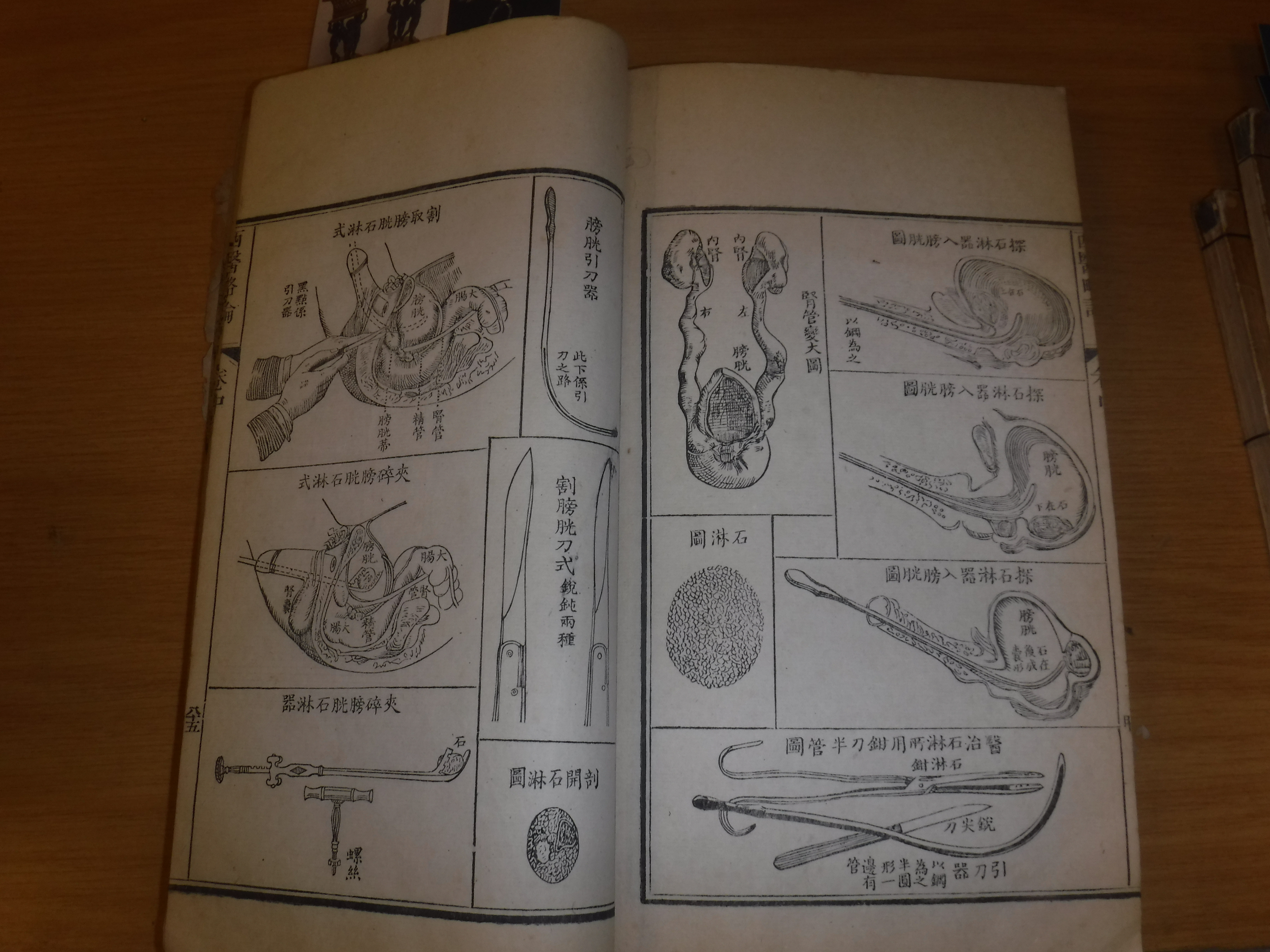 Twelve various mainly 19th Century Japanese volumes including medical encyclopedia, another, a - Image 8 of 56