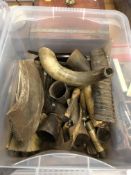 A box and contents of various horn items including drinking horns, beakers, horn sections, antler