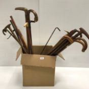 A collection of twenty-one various 19th and early 20th Century walking sticks/canes including a