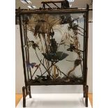 A Victorian bamboo framed fire screen display cabinet containing a taxidermy stuffed and mounted