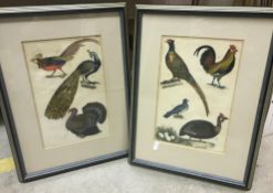 A collection of decorative paintings, prints, etc, to include AFTER RUSSELL JACKSON "Brown Kiwi",