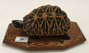 An early 20th Century mounted Tortoise shell on base with inlaid decoration opening to reveal a