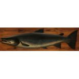 A carved and painted Salmon cast with well-painted features and carved fins and tail, fish size