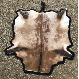 A modern Impala pelt rug with black felt backing, approx 208 cm x 134 cm