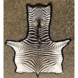 A Zebra pelt rug with black felt backing, 348 cm long x 210 cm wide