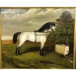 T BENSON “Pride of England”, study of horse at a water trough, oil on canvas,