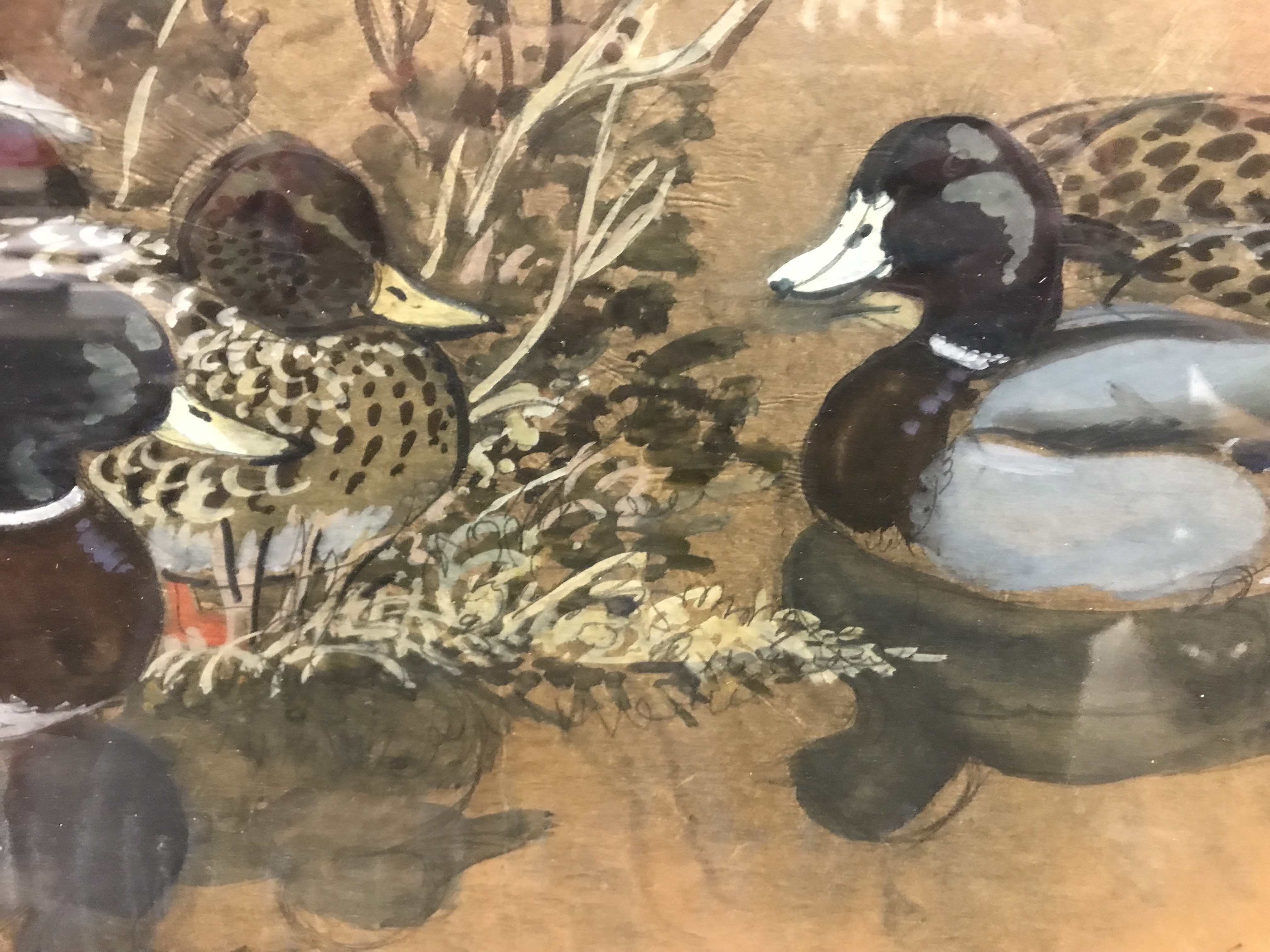 CHARLE FREDERICK TUNNICLIFFE "Mallards resting", watercolour heightened with white, - Image 14 of 31