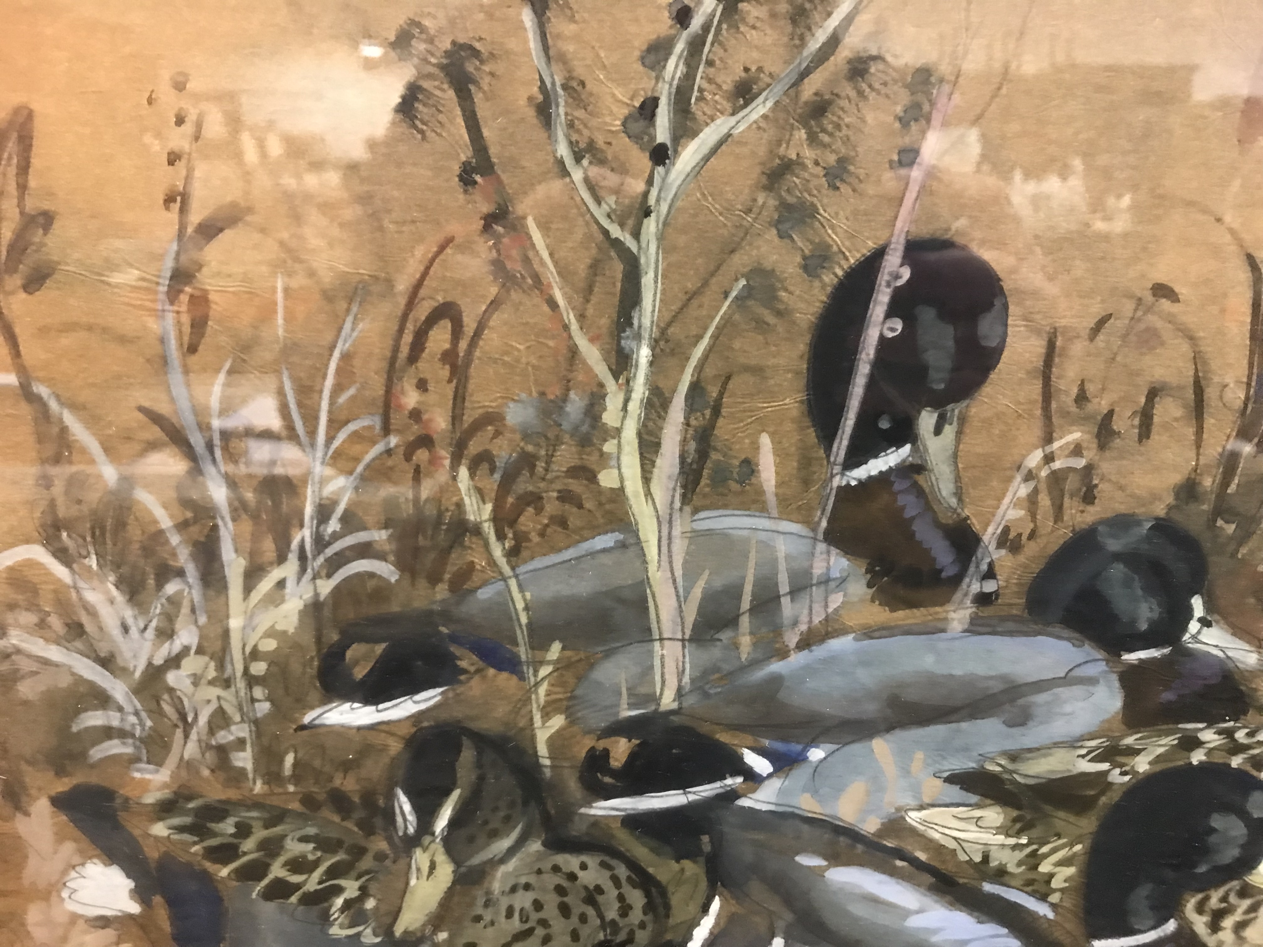 CHARLE FREDERICK TUNNICLIFFE "Mallards resting", watercolour heightened with white, - Image 10 of 31