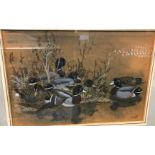 CHARLE FREDERICK TUNNICLIFFE "Mallards resting", watercolour heightened with white,