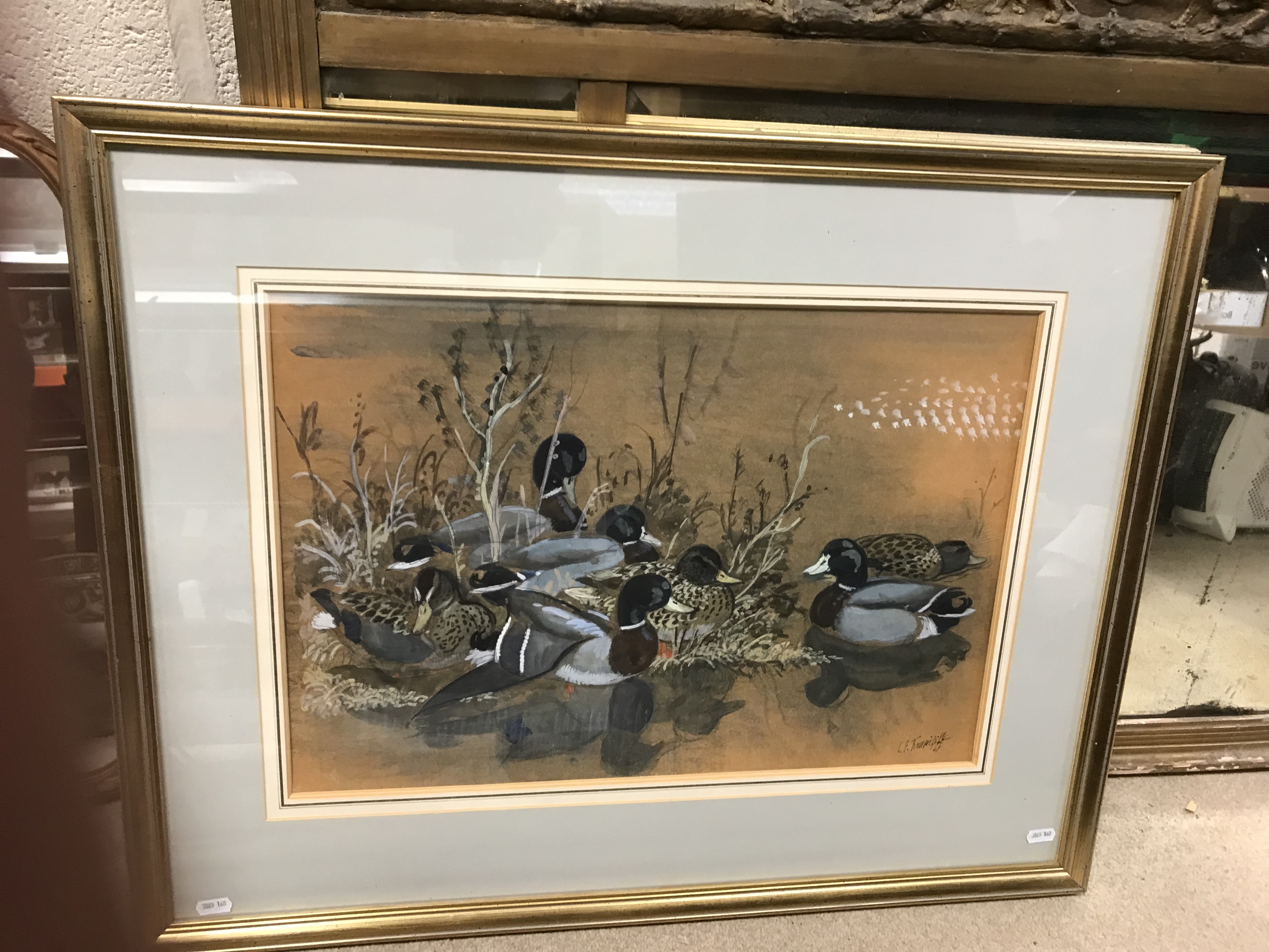 CHARLE FREDERICK TUNNICLIFFE "Mallards resting", watercolour heightened with white, - Image 2 of 31