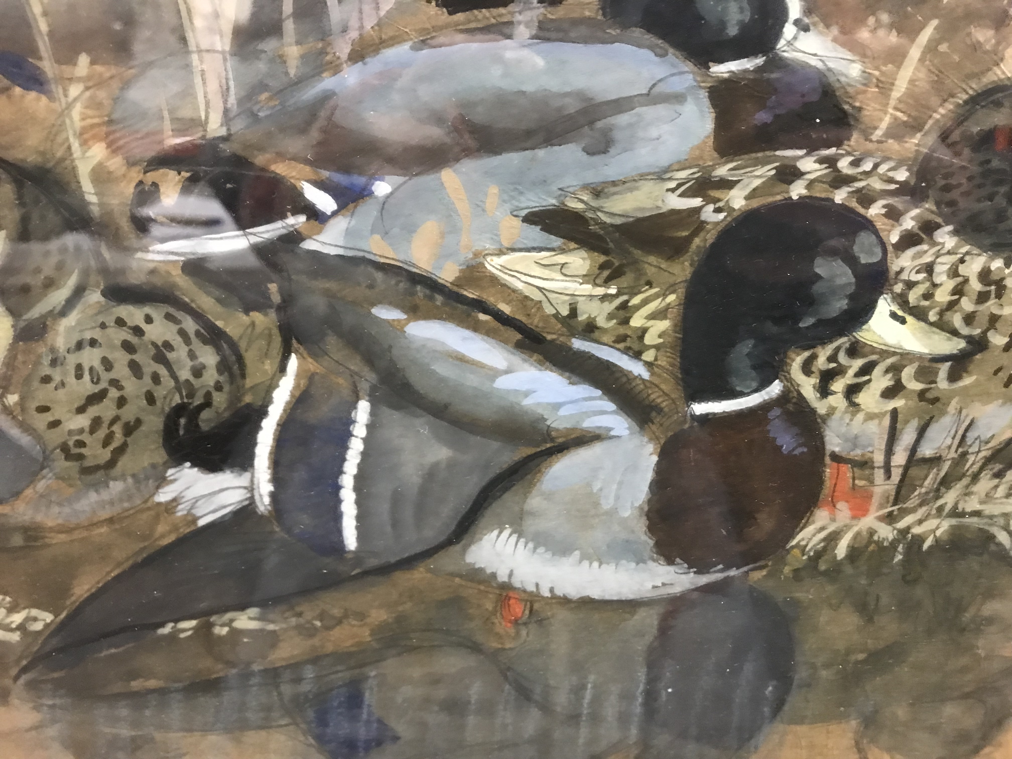CHARLE FREDERICK TUNNICLIFFE "Mallards resting", watercolour heightened with white, - Image 13 of 31