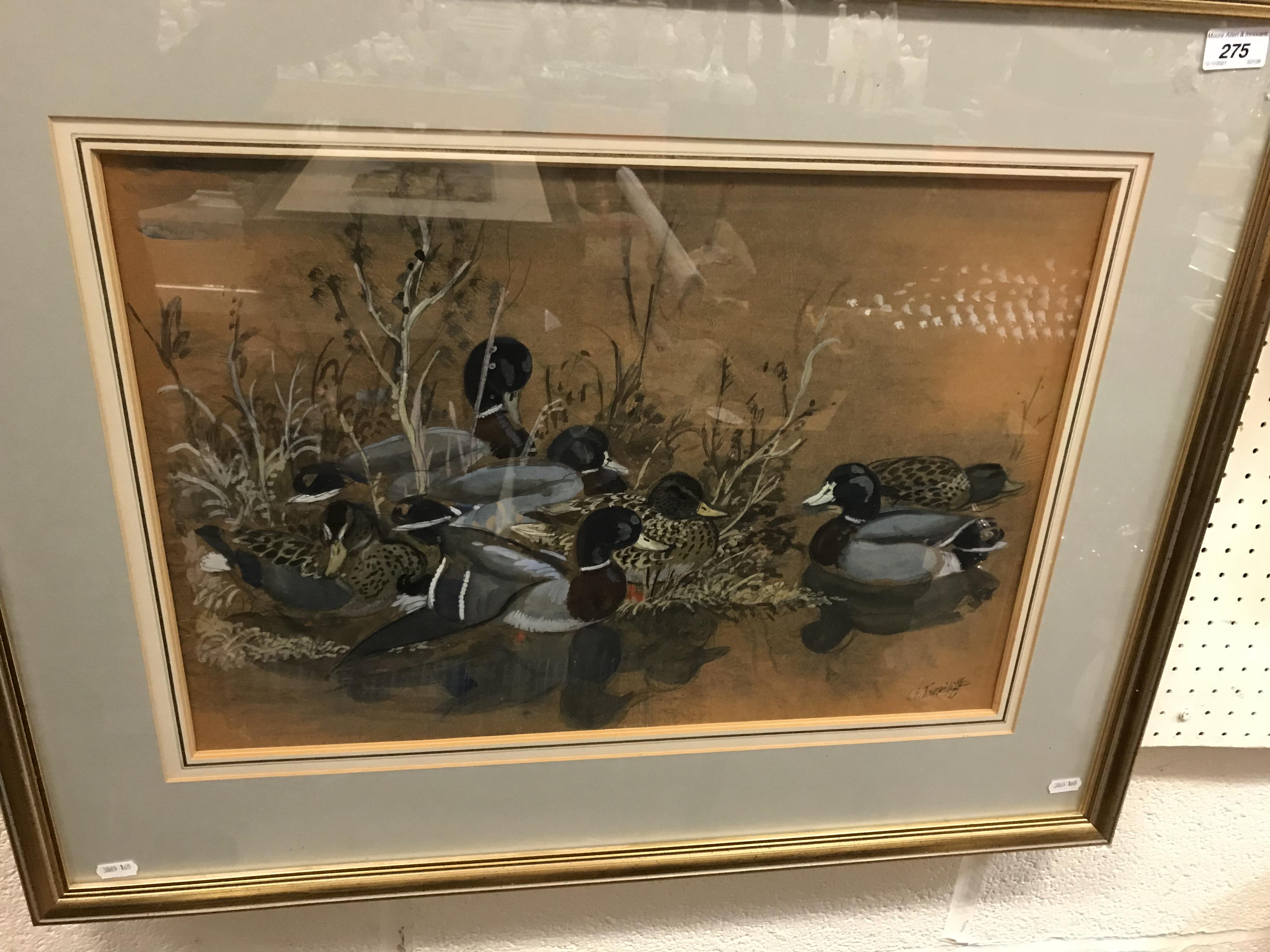 CHARLE FREDERICK TUNNICLIFFE "Mallards resting", watercolour heightened with white, - Image 4 of 31
