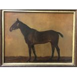 F M N "Scarlet Fever", study of a horse in the manner of Frances Mabel Hollams, oil on canvas,