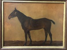 F M N "Scarlet Fever", study of a horse in the manner of Frances Mabel Hollams, oil on canvas,