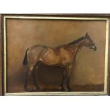F M N "Nenus", study of a horse in the manner of Frances Mabel Hollams, oil on canvas,