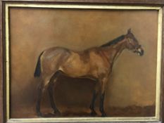 F M N "Nenus", study of a horse in the manner of Frances Mabel Hollams, oil on canvas,