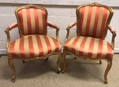 Two early 20th Century carved giltwood framed open arm elbow chairs in the Louis XV taste,