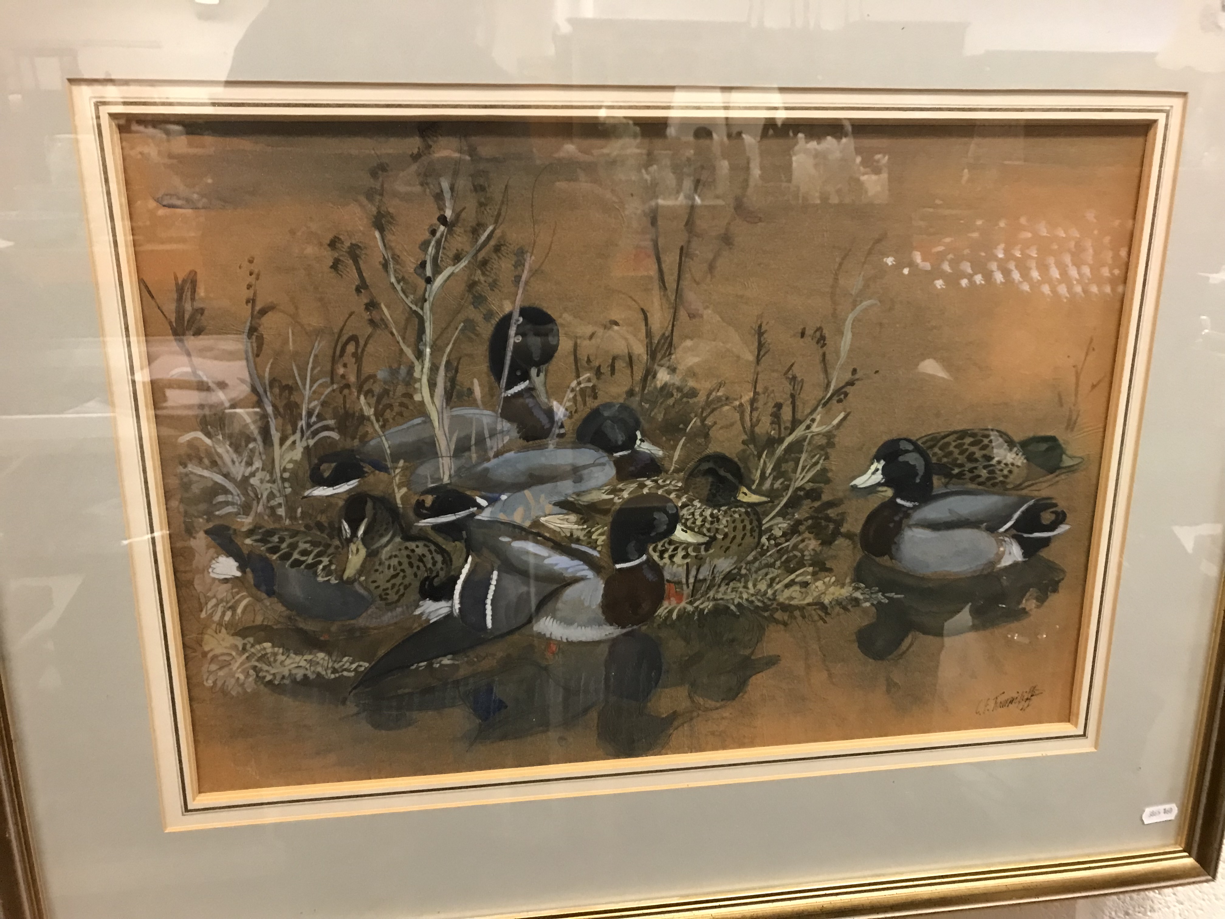 CHARLE FREDERICK TUNNICLIFFE "Mallards resting", watercolour heightened with white, - Image 30 of 31