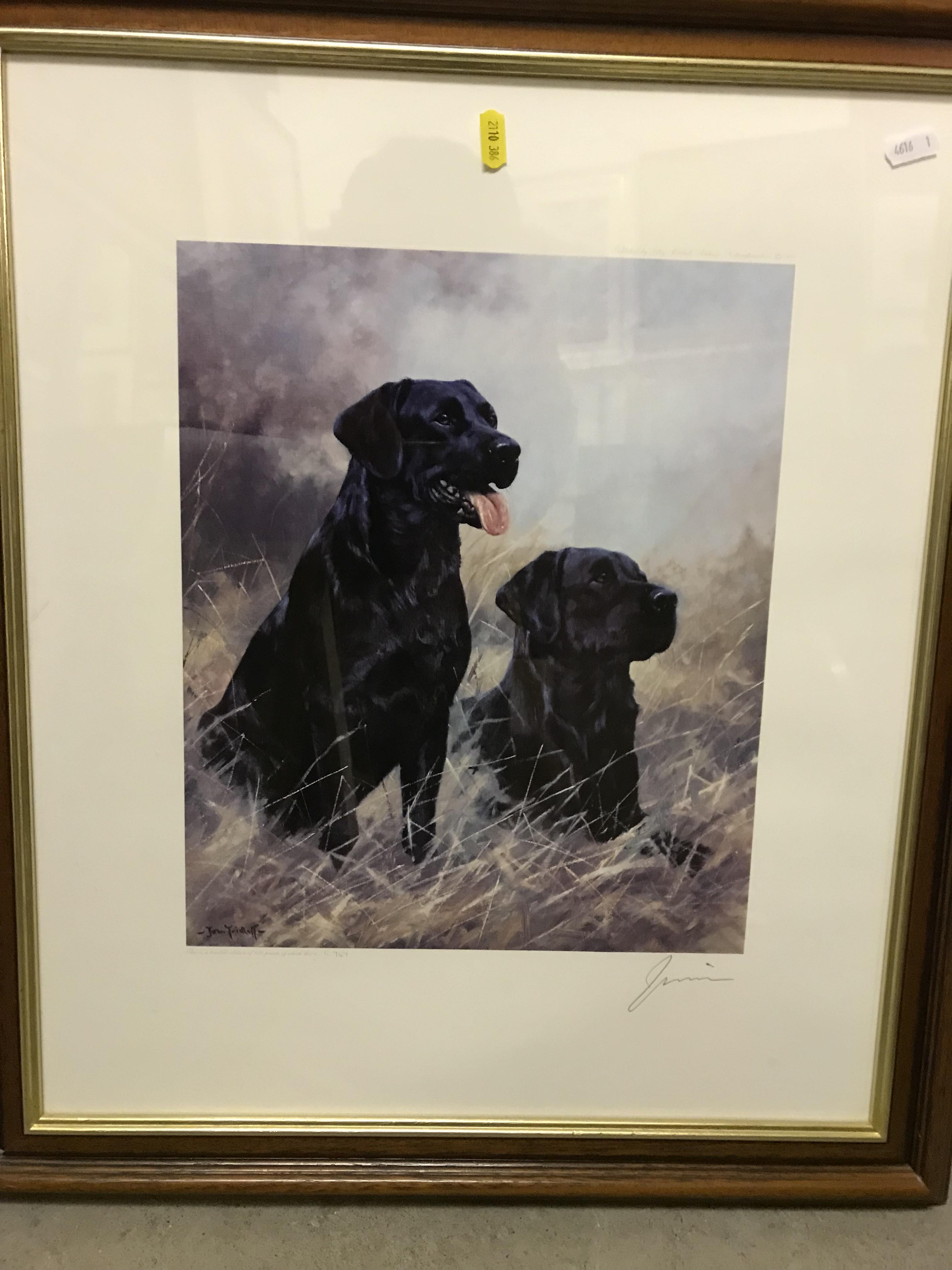 AFTER JOHN TRICKETT "Black lab No. 8", limited edition coloured print No'd.