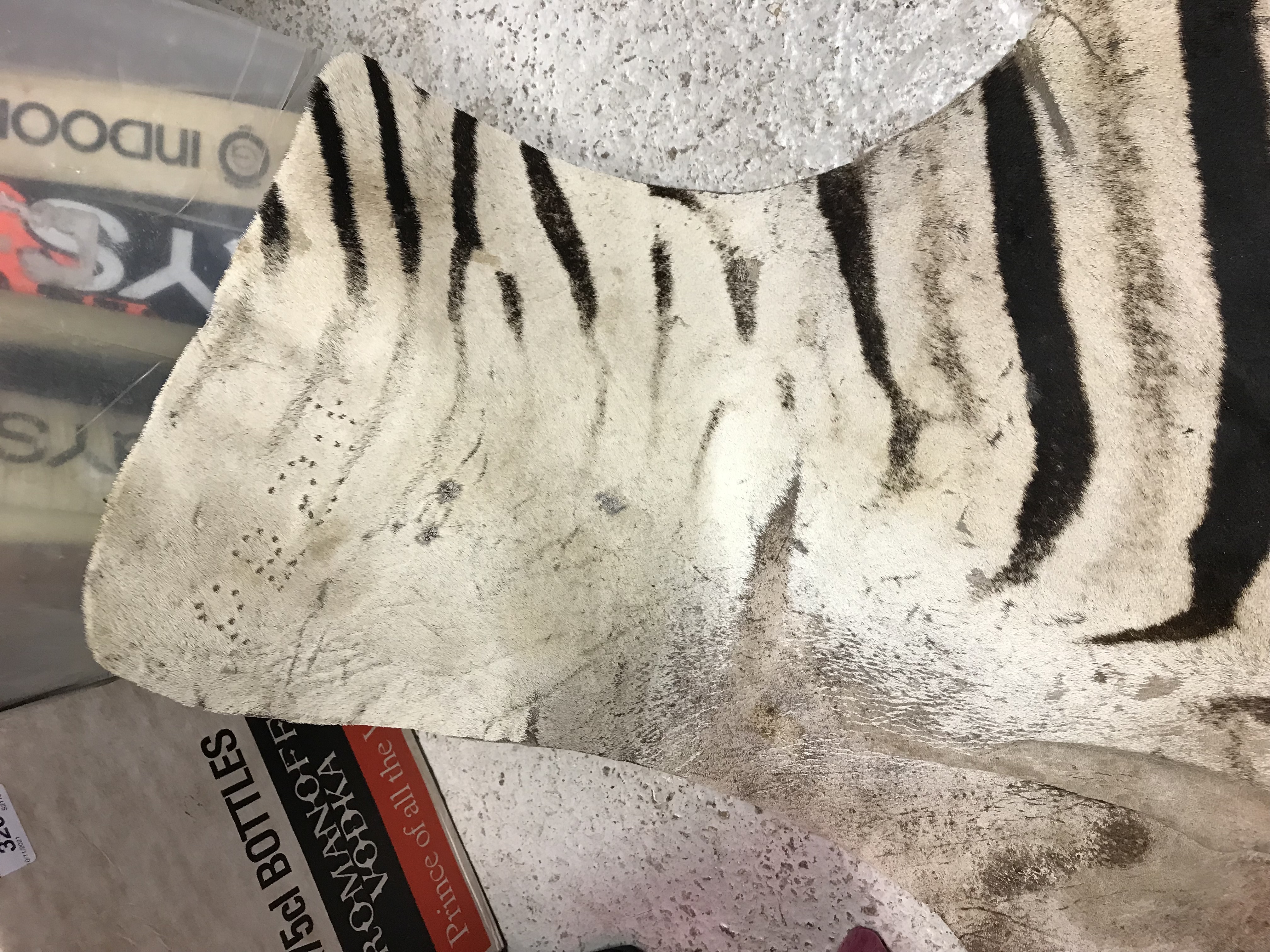 An un-mounted Zebra pelt rug, - Image 8 of 19