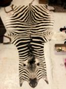 An un-mounted Zebra pelt rug,