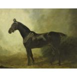 HENRY FREDERICK LUCAS LUCAS "Liver Chestnut hunter in a stable", a study, oil on canvas,