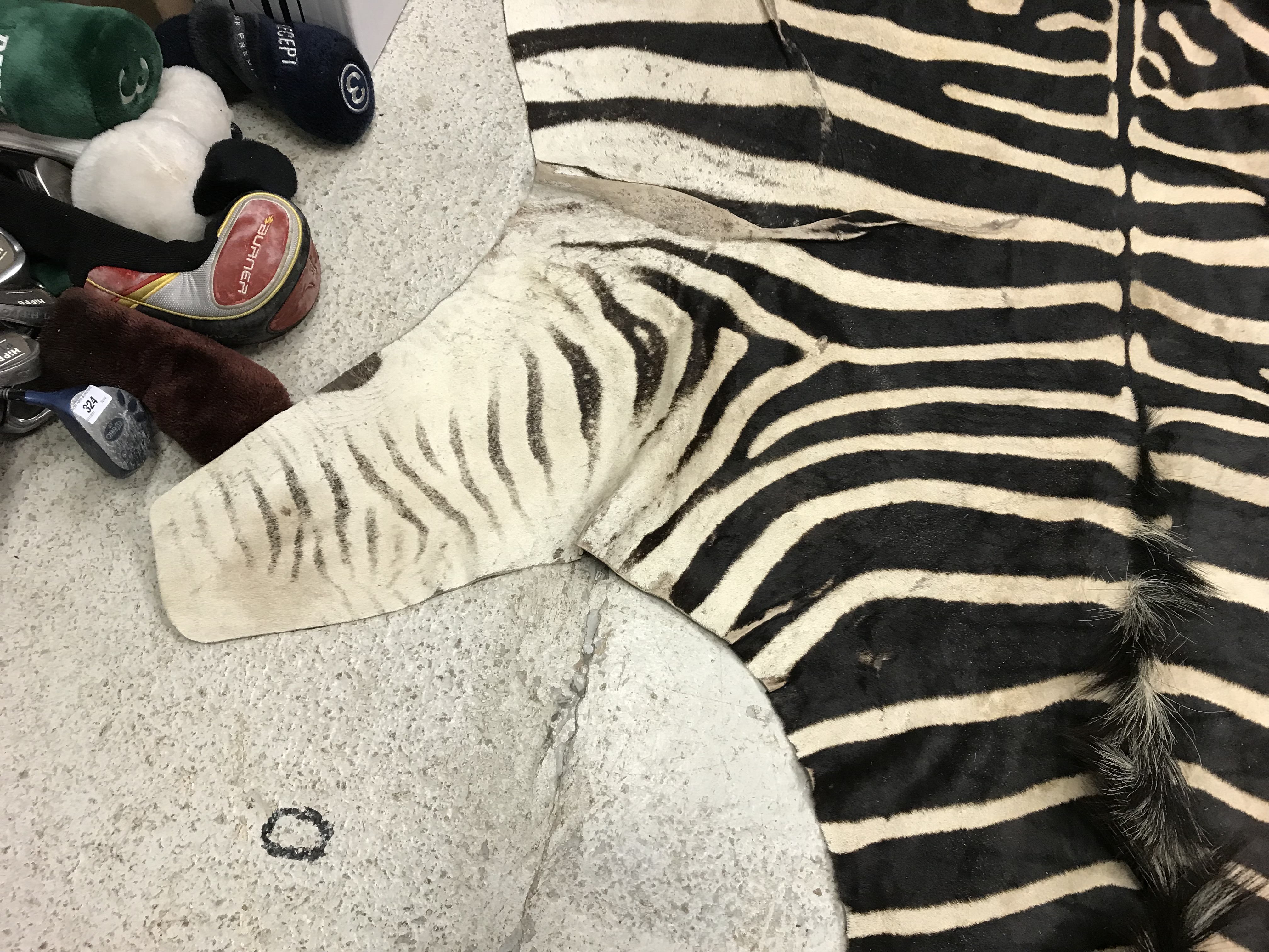 An un-mounted Zebra pelt rug, - Image 3 of 19