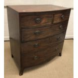 An early 19th Century mahogany bow fronted chest of two short over three long graduated drawers on