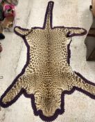 A mounted Leopard (Panthera Pardus) skin rug with purple felt backing,