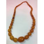 An amber graduated bead necklace (71 g) CONDITION REPORTS All appears in good