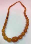 An amber graduated bead necklace (71 g) CONDITION REPORTS All appears in good