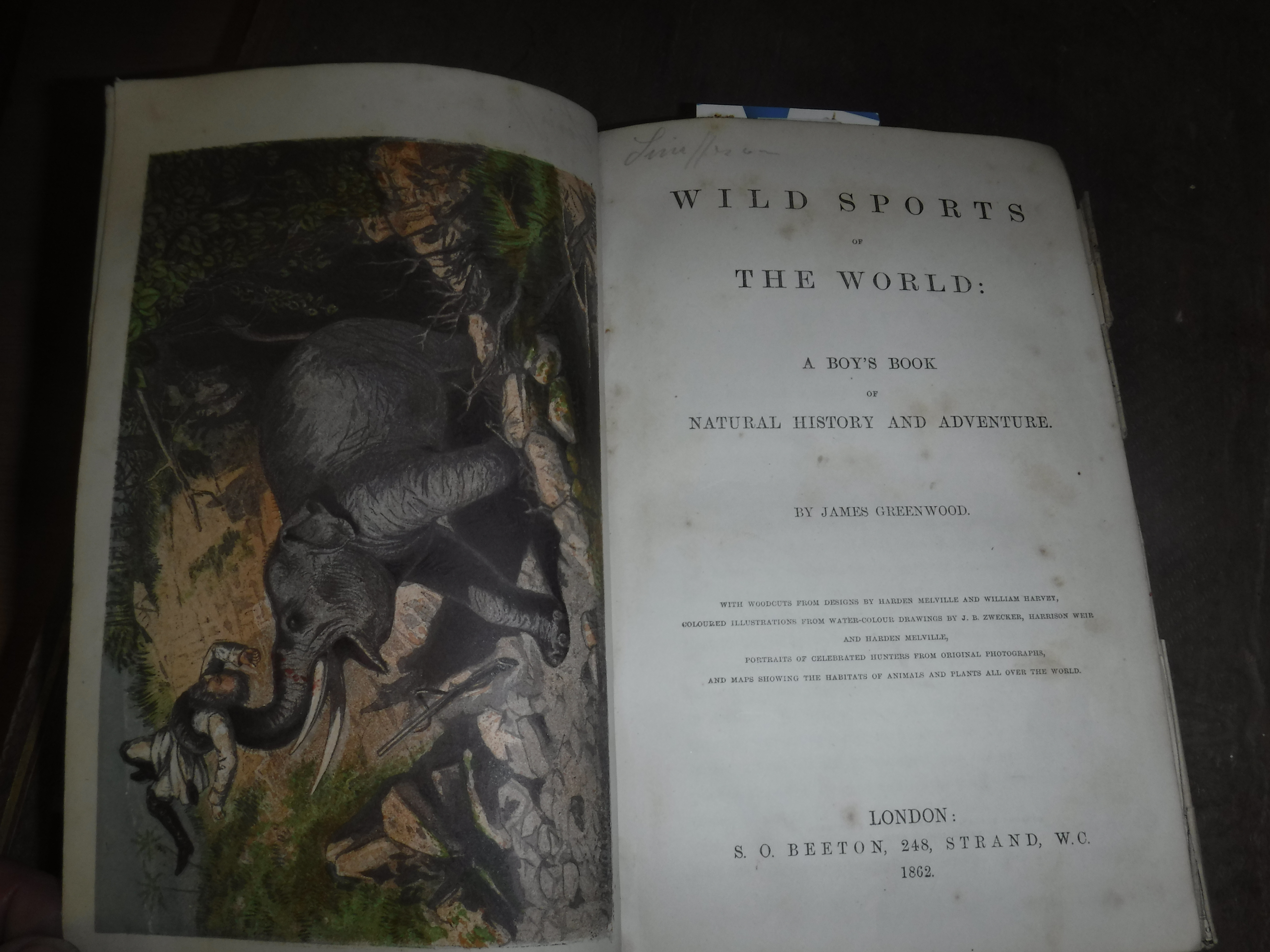 JAMES GREENWOOD “Wild Sports of the World: A Boys Book of Natural History and Adventure”, - Image 2 of 2
