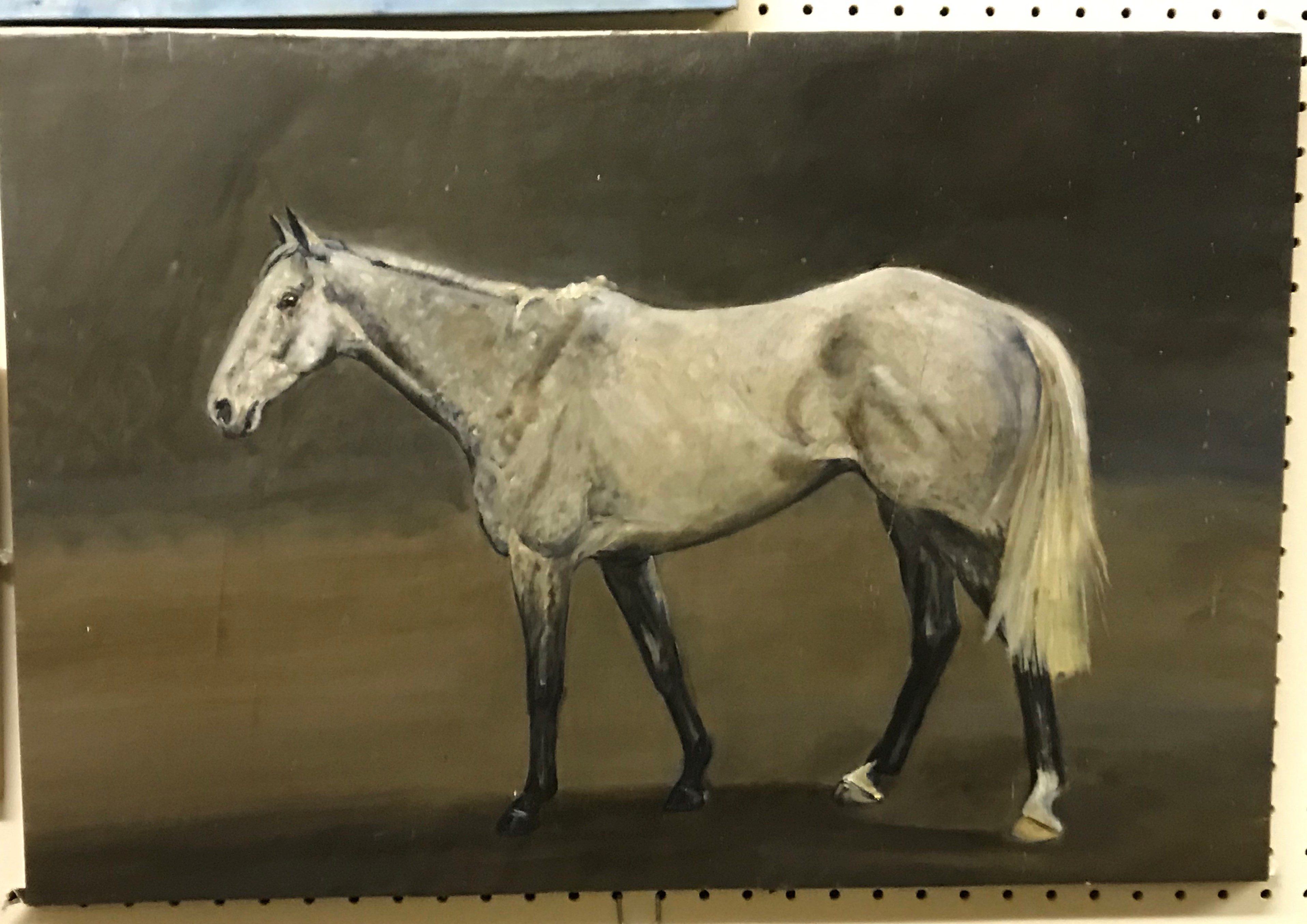 CAROLINE WALLACE "Dapple grey hunter", a study, oil on canvas, unsigned, unframed, approx 48 cm x