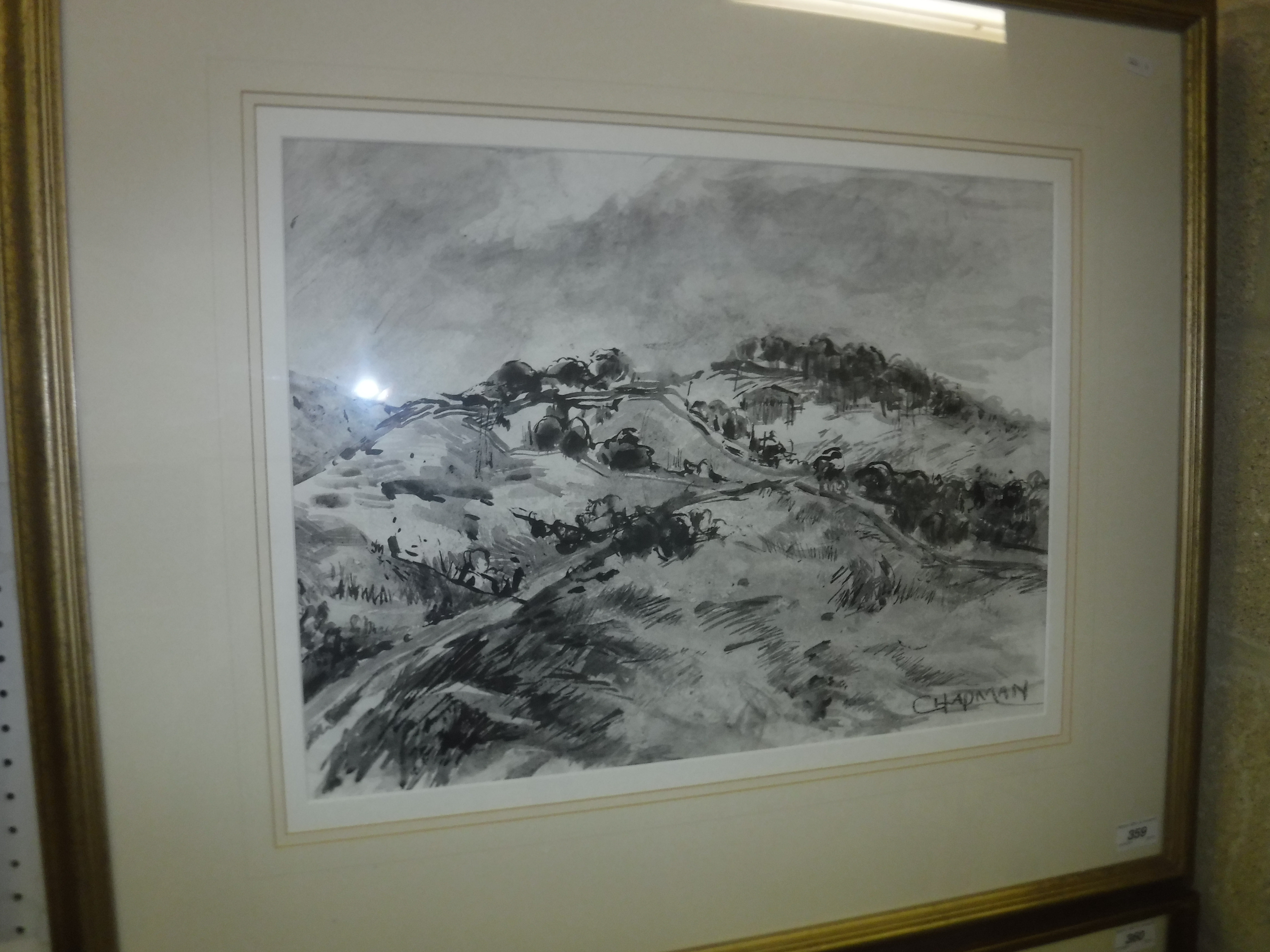 CHAPMAN "Hillside view", landscape study, pen and ink, signed lower right, size including frame