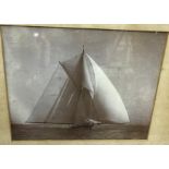A framed and glazed photographic study of “Shamrock 16th Dec 1899”, in full sail (a gaff cutter
