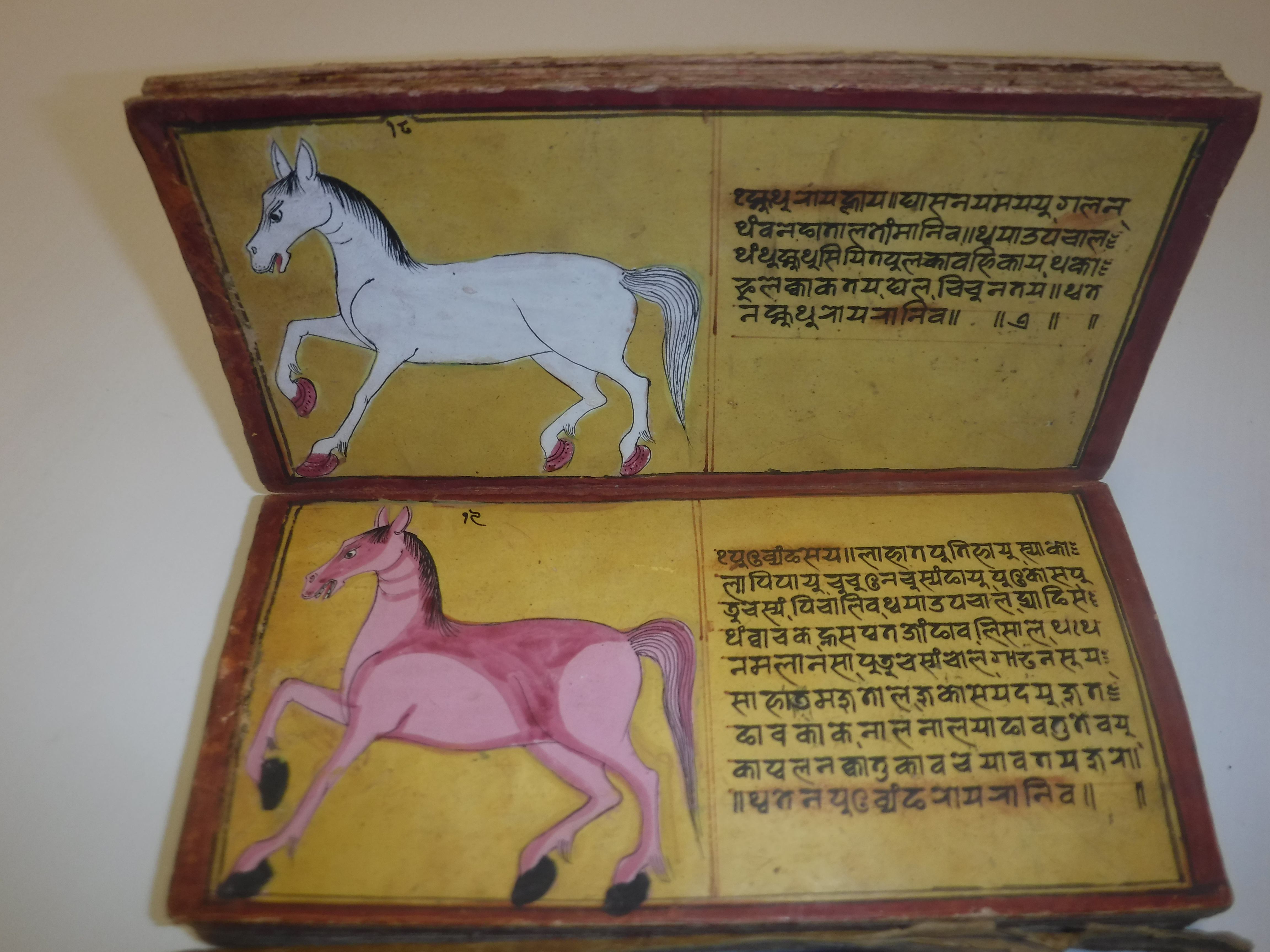 An 18th Century Nepalese Asvasastra or Treatise on the Nature and Illnesses of Horses, Leporello - Image 22 of 72