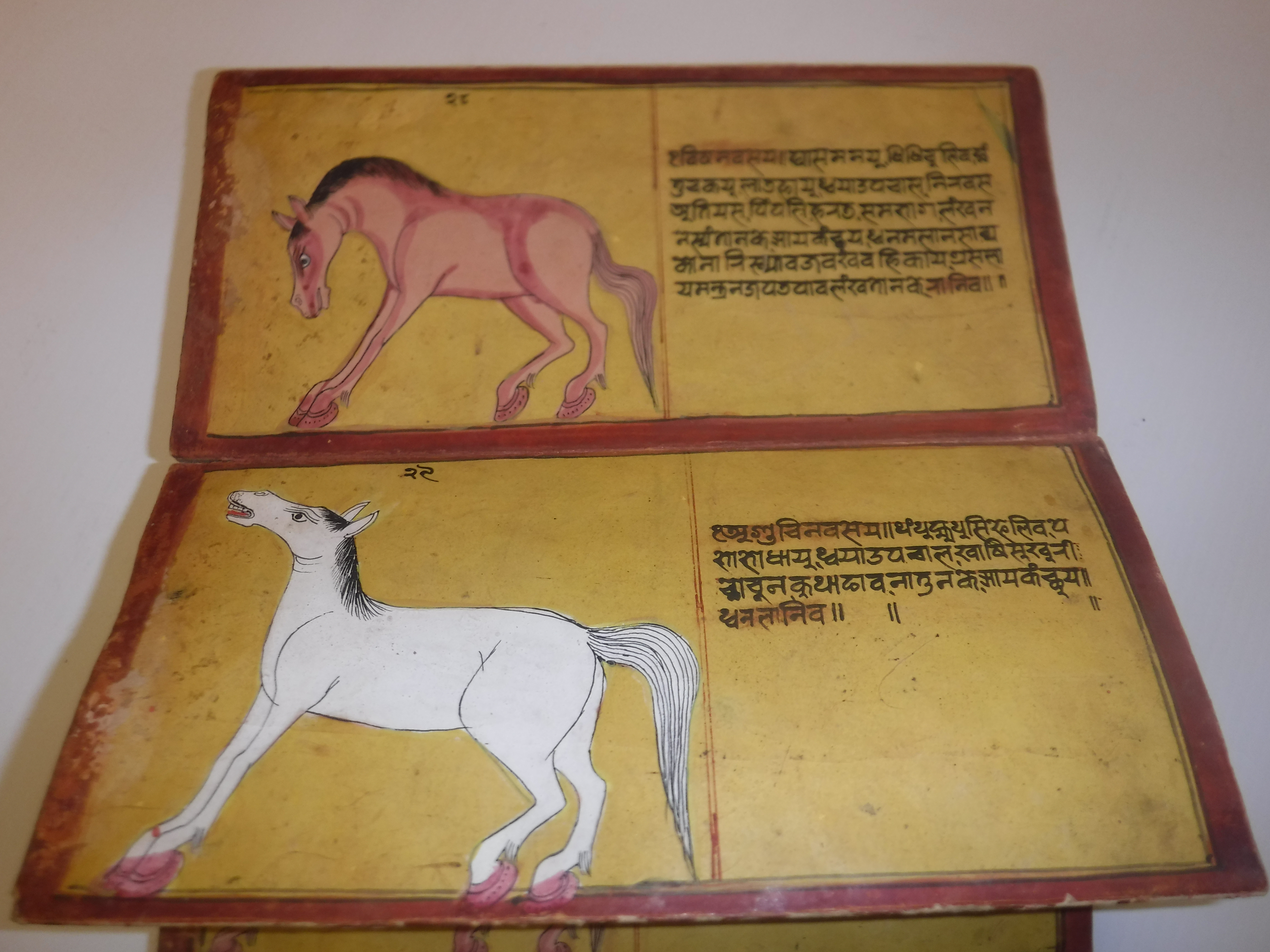 An 18th Century Nepalese Asvasastra or Treatise on the Nature and Illnesses of Horses, Leporello - Image 27 of 72