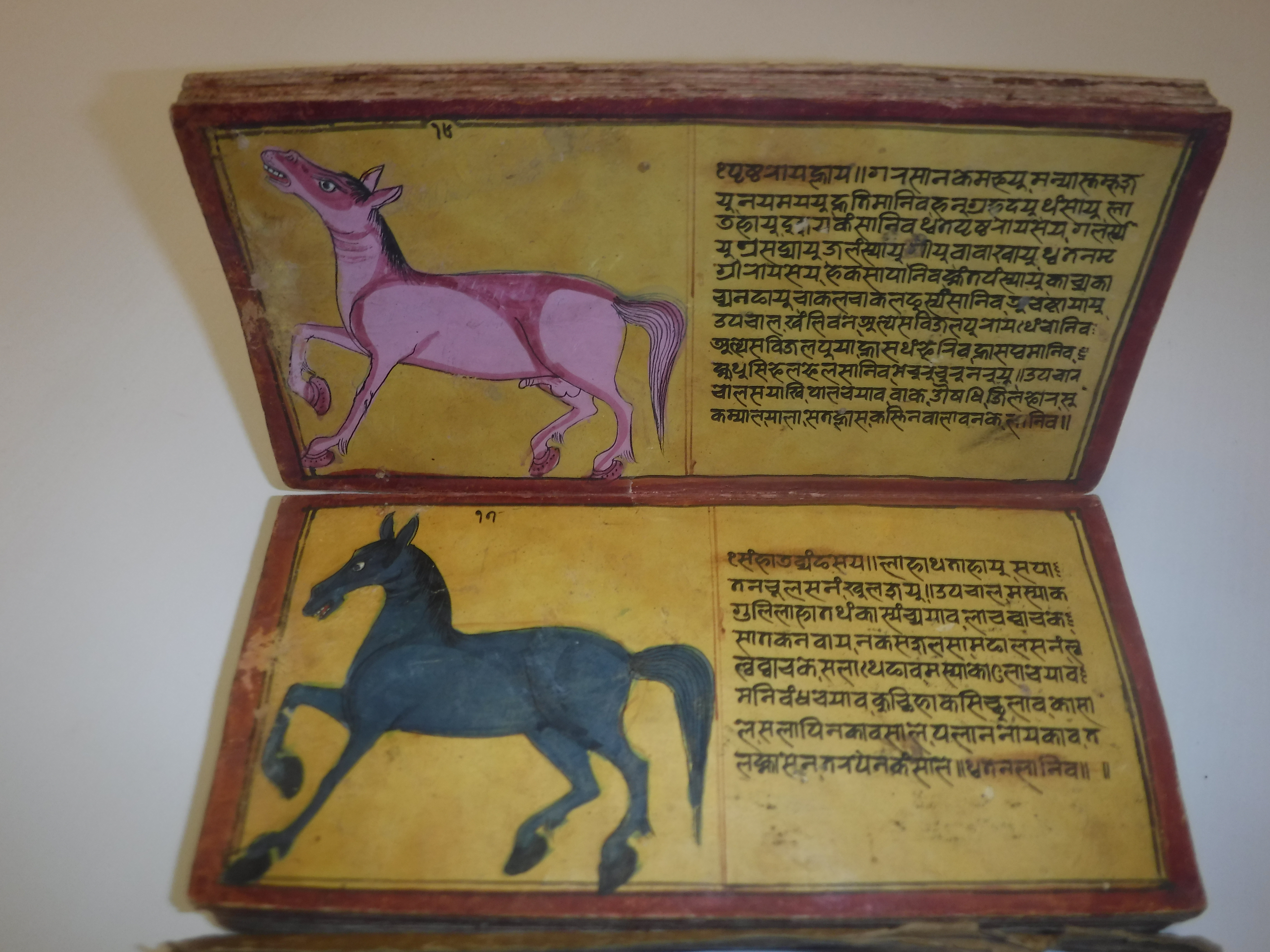 An 18th Century Nepalese Asvasastra or Treatise on the Nature and Illnesses of Horses, Leporello - Image 21 of 72
