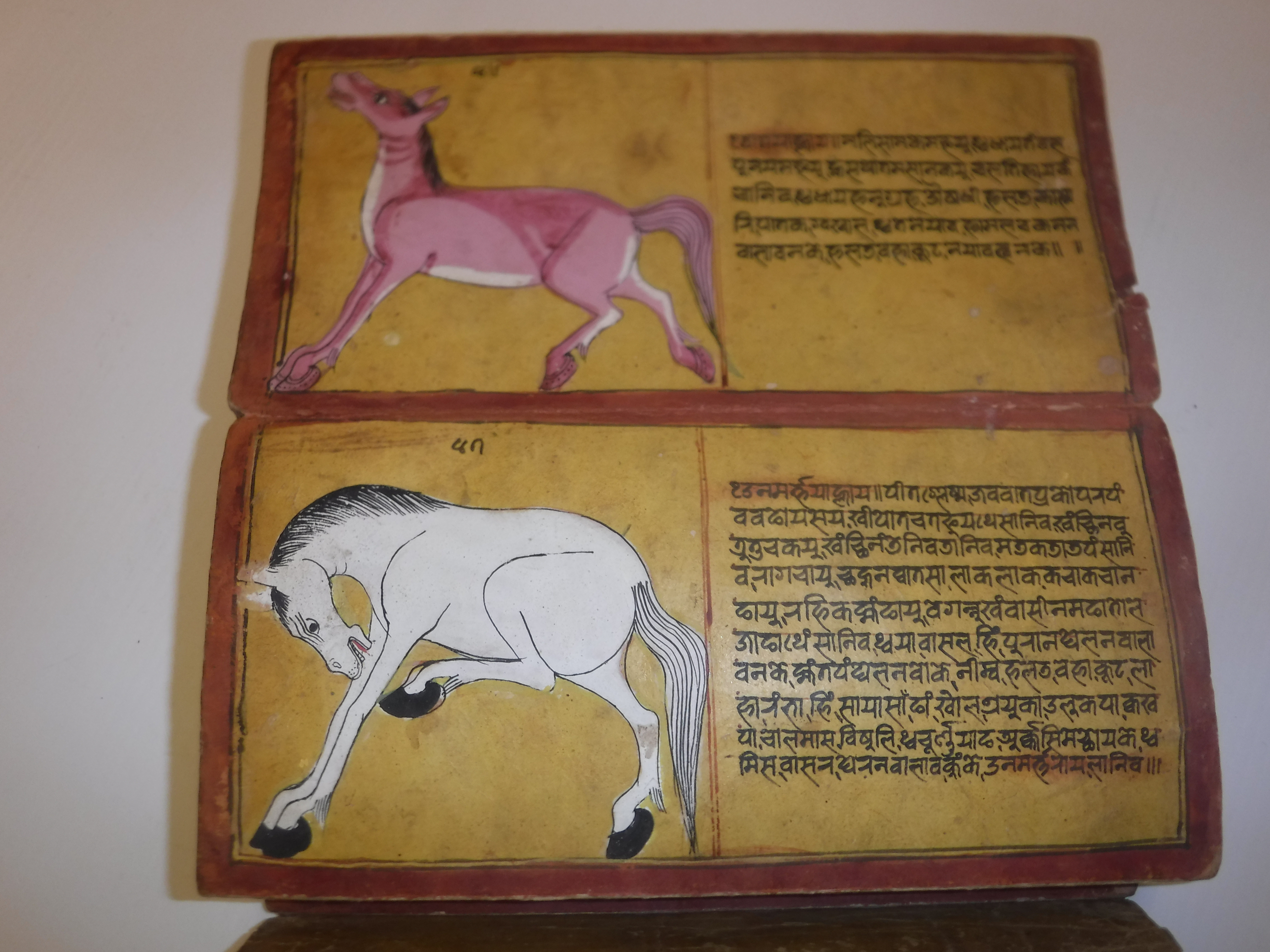 An 18th Century Nepalese Asvasastra or Treatise on the Nature and Illnesses of Horses, Leporello - Image 36 of 72