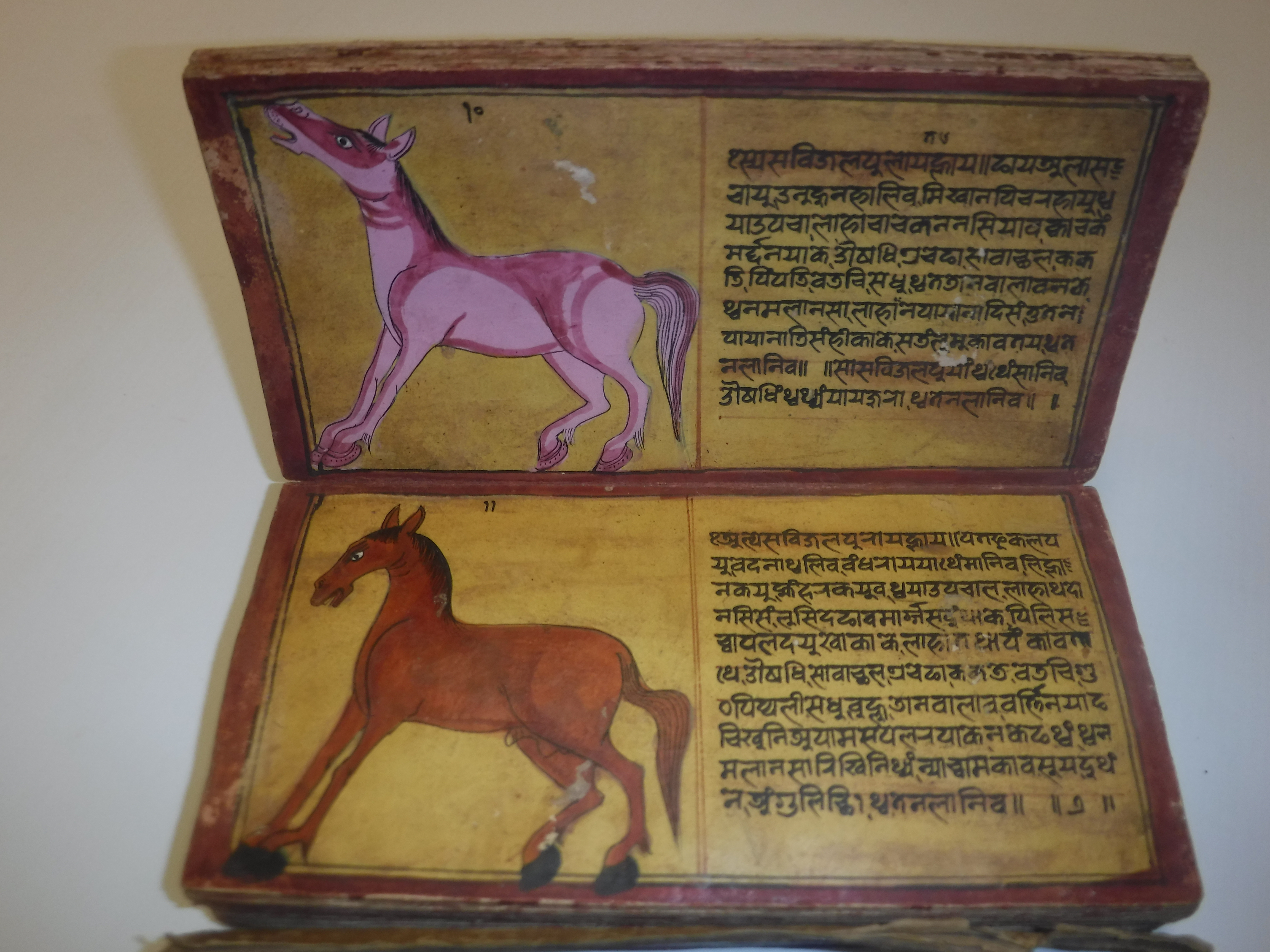 An 18th Century Nepalese Asvasastra or Treatise on the Nature and Illnesses of Horses, Leporello - Image 19 of 72