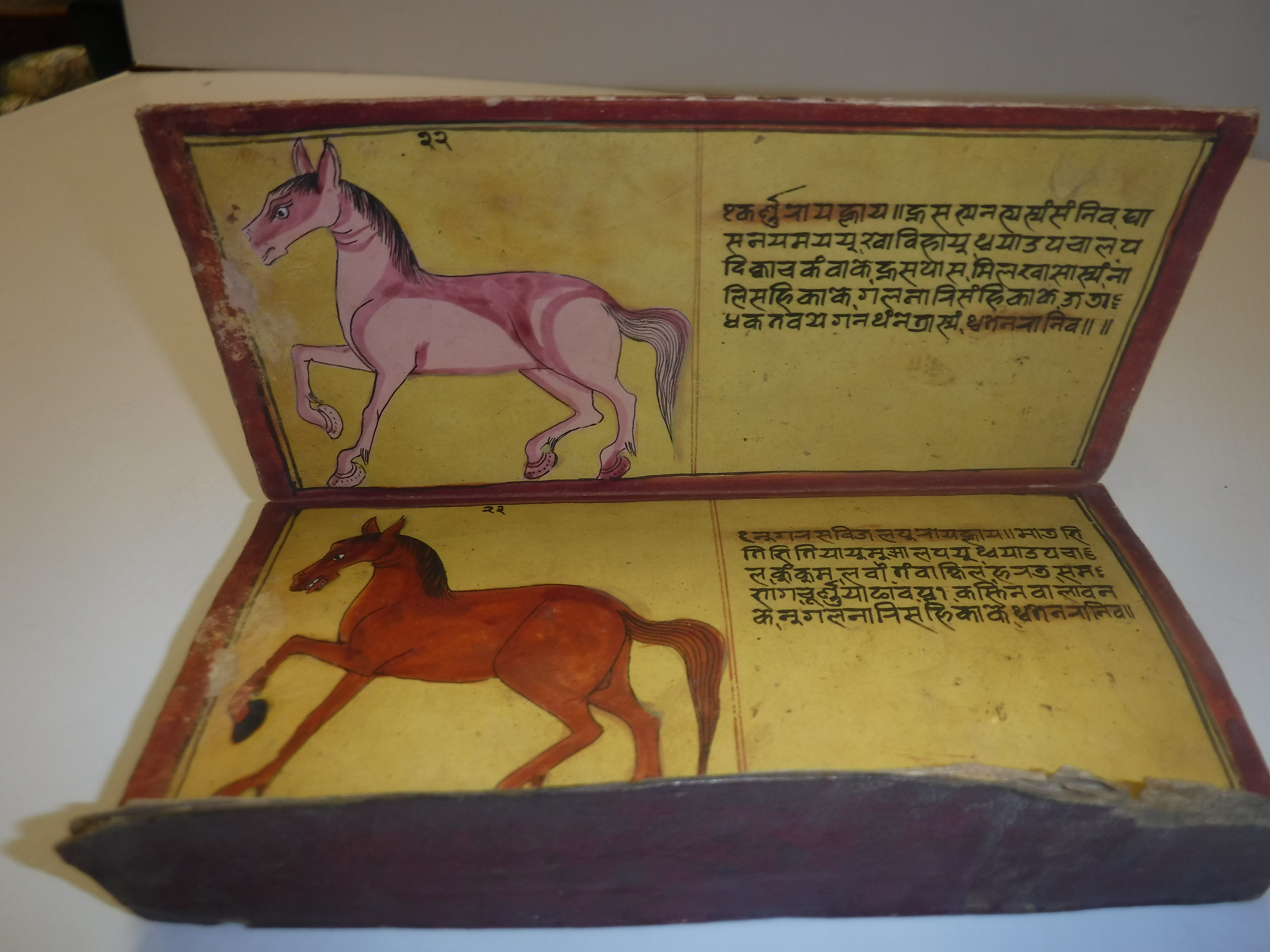 An 18th Century Nepalese Asvasastra or Treatise on the Nature and Illnesses of Horses, Leporello - Image 24 of 72
