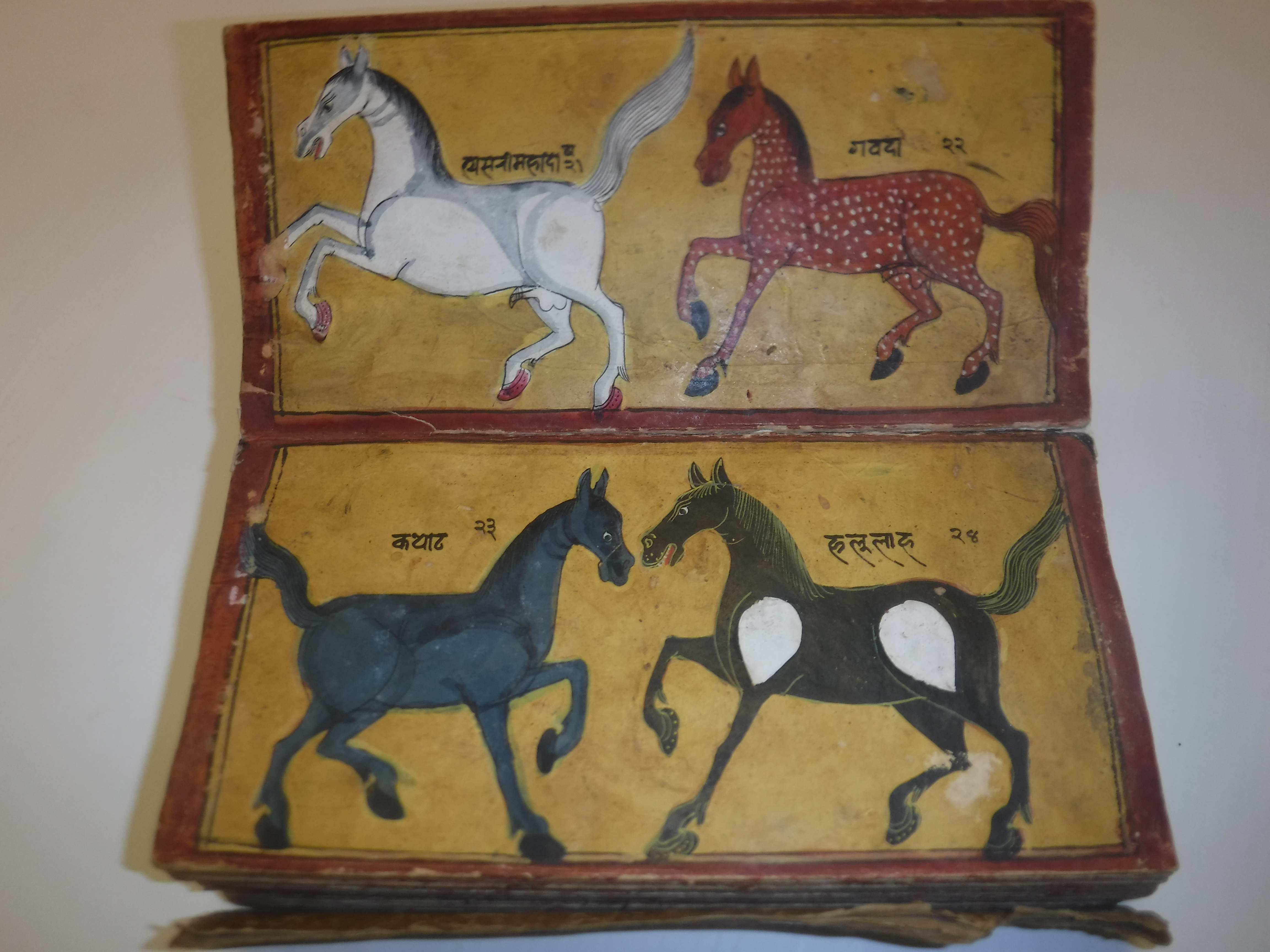 An 18th Century Nepalese Asvasastra or Treatise on the Nature and Illnesses of Horses, Leporello - Image 8 of 72